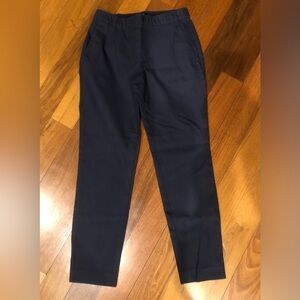 Theory Pull On Skinny Pants